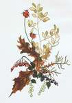 Click/tap for more details of Autumn Arrangement (cross stitch) by Thea Gouverneur