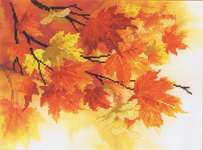 Click for more details of Autumn Colours (embellished cross stitch) by Riolis