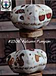 Click/tap for more details of Autumn Pumpion (cross stitch) by Thistles