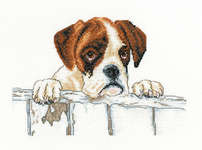 Click for more details of Bailey (cross stitch) by Sue Ryder
