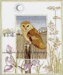 Click for more details of Barn Owl (cross stitch) by Rose Swalwell
