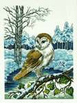 Click for more details of Barn Owl in Winter (cross stitch) by Permin of Copenhagen