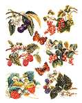 Click for more details of Berries and Butterflies (cross stitch) by Thea Gouverneur