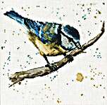 Click for more details of Betty the Bluetit (cross stitch) by Bree Merryn