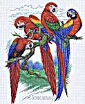 Bird Park & Macaws