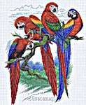 Click for more details of Bird Park & Macaws (cross stitch) by Pinn Stitch