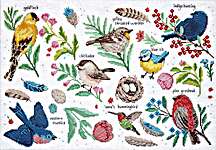 Click for more details of Bird Study (cross stitch) by Design Works