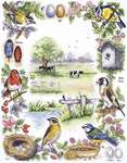 Click for more details of Birds Sampler (cross stitch) by Anchor