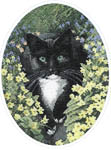 Click for more details of Black and White Cat (cross stitch) by John Stubbs