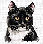 Click for more details of Black Cat (cross stitch) by Alisa