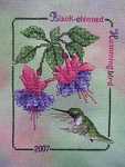 Click for more details of Black-chinned Hummingbird (cross stitch) by Crossed Wing Collection