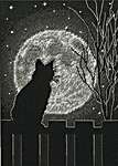 Black Moon Cat