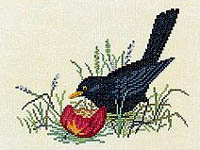 Click for more details of Blackbird with Apple (cross stitch) by Eva Rosenstand