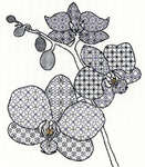 Click for more details of Blackwork Orchid (blackwork) by Bothy Threads