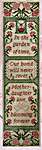 Click/tap for more details of Blooming Forever Bell Pull (cross stitch) by Stitchy Prose