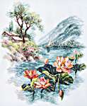 Blooming Lotuses 