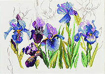 Blue Irises