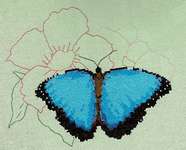 Click for more details of Blue Morpho Butterfly (cross stitch) by Anne Peden