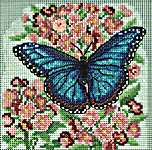 Click for more details of Blue Morpho Butterfly (cross stitch) by Mill Hill