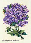 Click for more details of Blue Rhododendron (cross stitch) by Eva Rosenstand