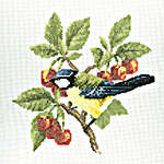 Click for more details of Blue Tit (cross stitch) by David Merry