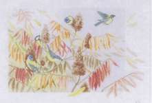 Click/tap for more details of Blue Tits and Seed Heads (cross stitch) by Marjolein Bastin