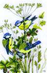 Click/tap for more details of Blue Tits with Red Berries (cross stitch) by Marjolein Bastin