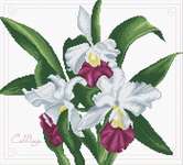 Click for more details of Bouquet of Orchids (cross stitch) by Needleart World