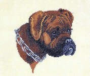 Click for more details of Boxer (cross stitch) by Eva Rosenstand