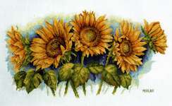 Bright Sunflowers