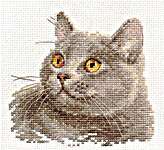 Click for more details of British Cat (cross stitch) by Alisa