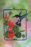 Click for more details of Broad Tailed Hummingbird (cross stitch) by Crossed Wing Collection