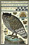 Click for more details of Brown Fish Owl (cross stitch) by Kathy Barrick