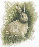 Click for more details of Brown Hare (cross stitch) by John Stubbs