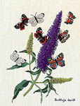 Click for more details of Buddleia - The Butterfly Bush (cross stitch) by Eva Rosenstand