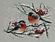 Bullfinches on the Mountain Ash