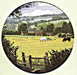 Click/tap for more details of Buttercup Meadow (cross stitch) by John Clayton