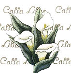 Click for more details of Calla Lilies (cross stitch) by Bobbie G. Designs