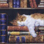 Cat Sleeping on a Bookshelf