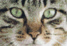 Click for more details of Cats - Tess & Simba (cross stitch) by Thea Gouverneur