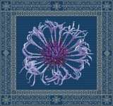 Click/tap for more details of Centaurea in Spring (cross stitch) by DoodleCraft Design