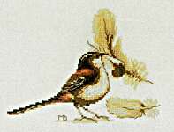 Click for more details of Chaffinch (cross stitch) by Marjolein Bastin