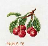 Click for more details of Cherries (cross stitch) by Eva Rosenstand