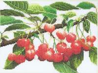 Click for more details of Cherry Branch (cross stitch) by Thea Gouverneur