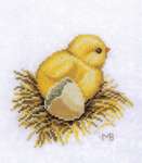Chick with Eggshell
