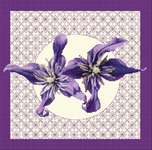 Click/tap for more details of Clematis in Bloom (cross stitch) by DoodleCraft Design