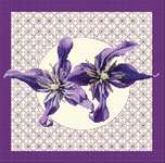 Click for more details of Clematis in Bloom (cross stitch) by DoodleCraft Design