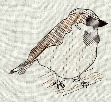 Click for more details of Cock Sparrow (cross stitch) by Anne Peden