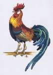 Click for more details of Cockerel (cross stitch) by Eva Rosenstand