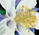 Click for more details of Columbine (cross stitch) by Thea Gouverneur